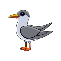 Fototapeta premium Vibrant Damara Tern Bird Artwork