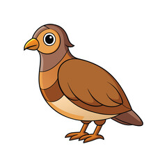  Vivid Daurian Partridge Bird Design