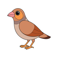  Desert Finch Bird Realistic Art