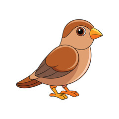  Vivid Desert Finch Bird Design