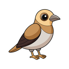  Desert Wheatear Bird Colorful Artwork