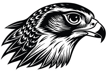 Detailed Eagle Head Profile in Black and White, Isolated Design