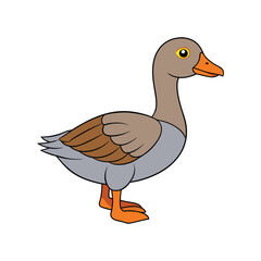  Emperor Goose Bird Realistic Art