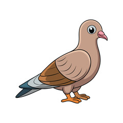 Vivid Eurasian Collared Dove Bird Design