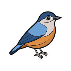  Vivid Eurasian Nuthatch Bird Design