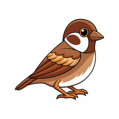  Eurasian Tree Sparrow Bird Colorful Illustration
