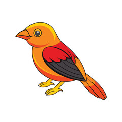  Flame-Colored Tanager Bird Colorful Illustration