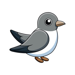  Fork-Tailed Storm Petrel Bird Realistic Illustration