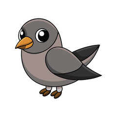  Bright Fork-Tailed Storm Petrel Bird Artwork