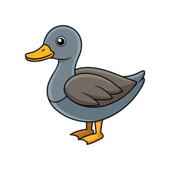 Obraz premium Bright Gadwall Bird Artwork