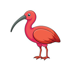 Glossy Ibis Bird Realistic Illustration