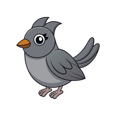  Stunning Gray Catbird Bird Design