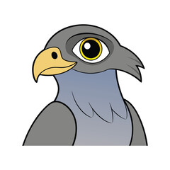  Stunning Gray Hawk Bird Illustration