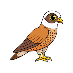  Elegant Greater Kestrel Bird Vector