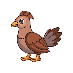  Elegant Greater Sage Grouse Bird Vector