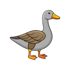  Realistic Greater White-Fronted Goose Illustration