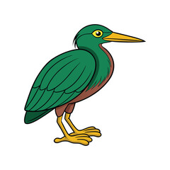  Green Heron Bird Realistic Art