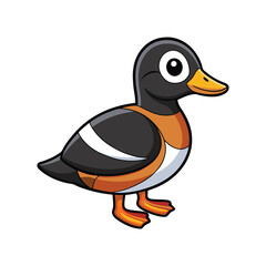  Harlequin Duck Bird Realistic Art