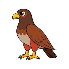  Realistic Harris's Hawk Bird Illustration
