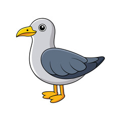  Realistic Herring Gull Bird Illustration