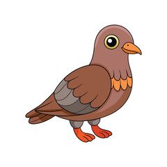  Inca Dove Bird Realistic Art