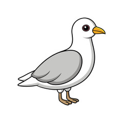  Bright Ivory Gull Bird Artwork