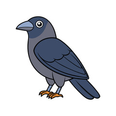 Fototapeta premium Vivid Jackdaw Bird Design