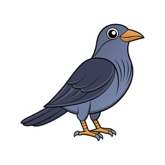  Bright Jackdaw Bird Artwork
