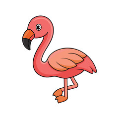  Vivid Lesser Flamingo Bird Design
