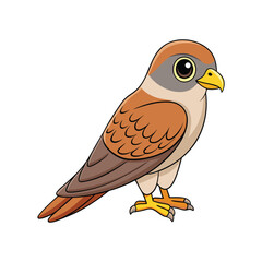  Vivid Lesser Kestrel Bird Design