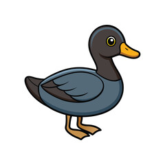  Vivid Lesser Scaup Bird Artwork