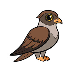  Elegant Lesser Nighthawk Bird Vector