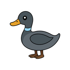 Charming Lesser Scaup Bird Design