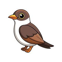  Stunning Mangrove Cuckoo Bird Illustration