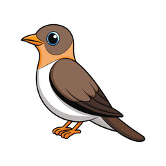  Charming Mangrove Cuckoo Bird Artwork