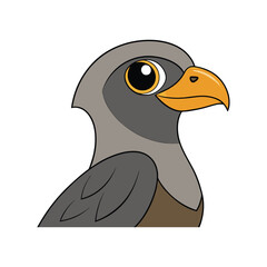  Majestic Merlin Bird Artwork