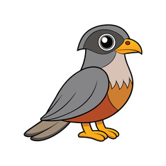 Elegant Merlin Bird Vector