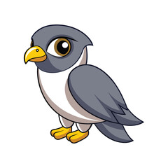  Stunning Merlin Bird Illustration