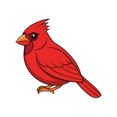  Stunning Northern Cardinal Bird Illustration