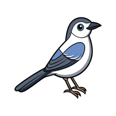  Vivid Northern Mockingbird Bird Design