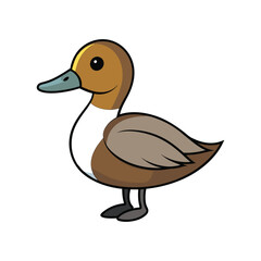  Vivid Northern Pintail Bird Artwork
