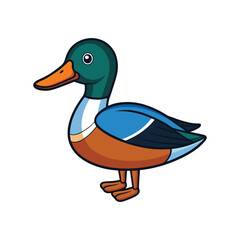  Vivid Northern Shoveler Bird Design