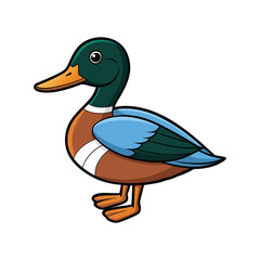  Northern Shoveler Bird Colorful Artwork