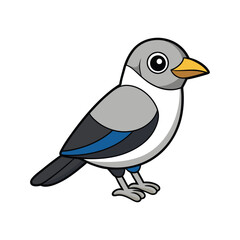  Vivid Northern Shrike Bird Design