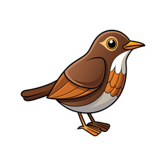  Northern Waterthrush Bird Realistic Art