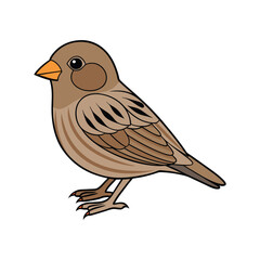  Pine Siskin Bird Realistic Art