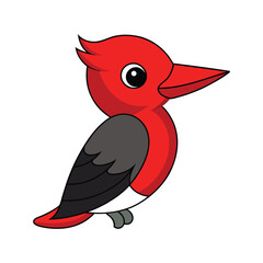  Realistic Red-Bellied Woodpecker Bird Illustration