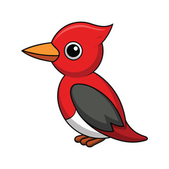  Red-Bellied Woodpecker Bird Realistic Art