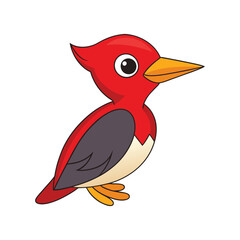  Vivid Red-Bellied Woodpecker Bird Design