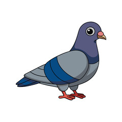  Stunning Rock Pigeon Nature Illustration